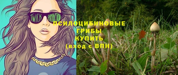 твердый Покачи