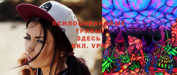 твердый Покачи
