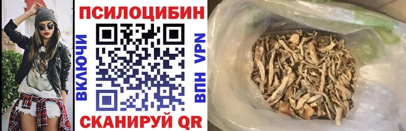 Псилоцибиновые грибы Psilocybe  где продают наркотики  Шелехов 